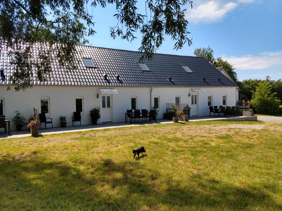 Molshojgard Appartement Knebel Buitenkant foto