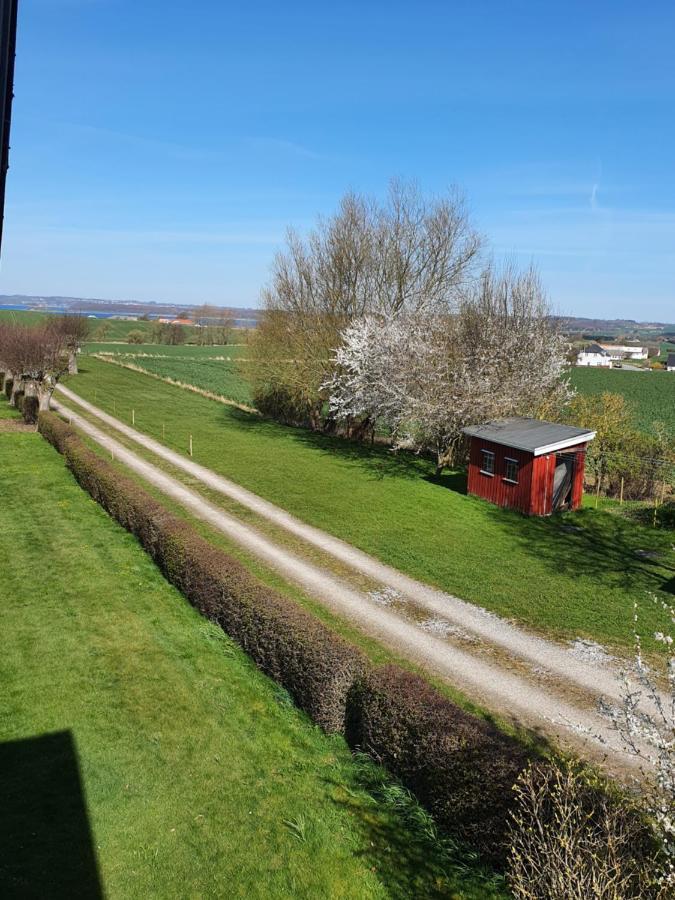 Molshojgard Appartement Knebel Buitenkant foto