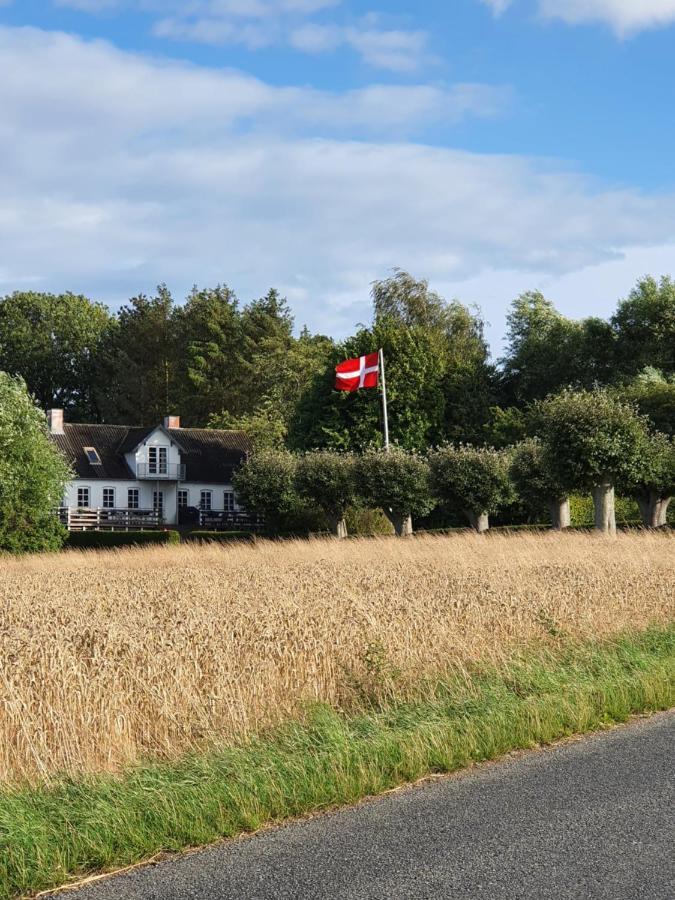 Molshojgard Appartement Knebel Buitenkant foto