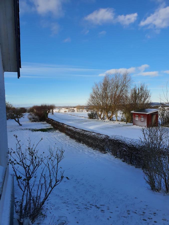 Molshojgard Appartement Knebel Buitenkant foto